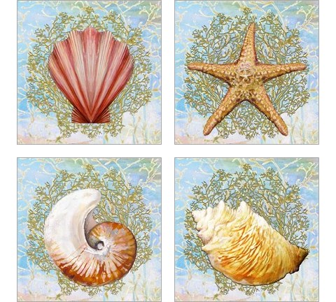 Shell Medley 4 Piece Art Print Set by Diannart