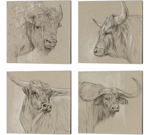 Longhorn Sketch 4 Piece Canvas Print Set by Melissa Wang