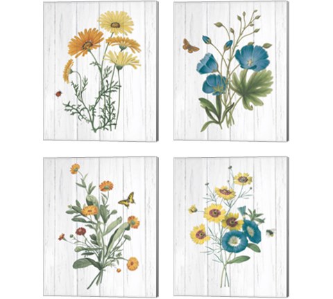 Botanical Bouquet on Wood 4 Piece Canvas Print Set by Wild Apple Portfolio