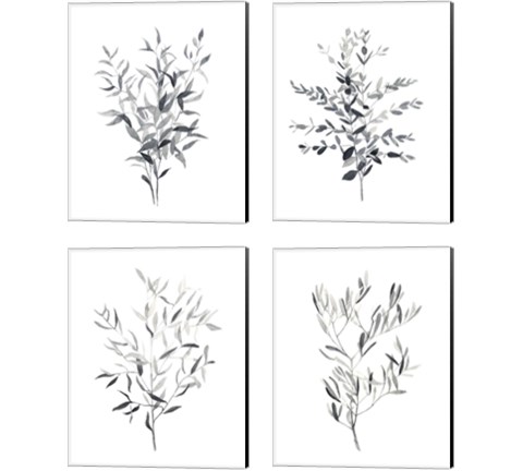Paynes Grey Botanicals 4 Piece Canvas Print Set by Emma Scarvey