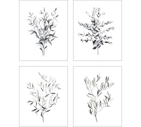 Paynes Grey Botanicals 4 Piece Art Print Set by Emma Scarvey