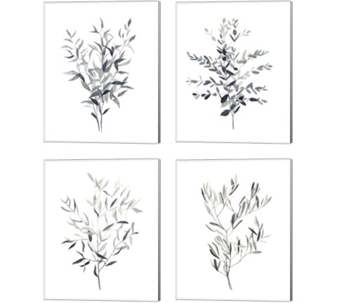 Paynes Grey Botanicals 4 Piece Canvas Print Set by Emma Scarvey