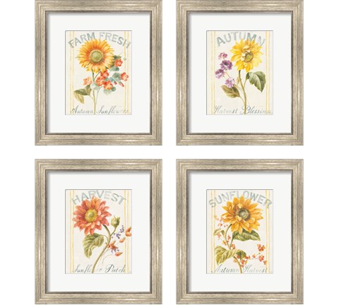 Floursack Autumn 4 Piece Framed Art Print Set by Danhui Nai