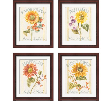 Floursack Autumn 4 Piece Framed Art Print Set by Danhui Nai