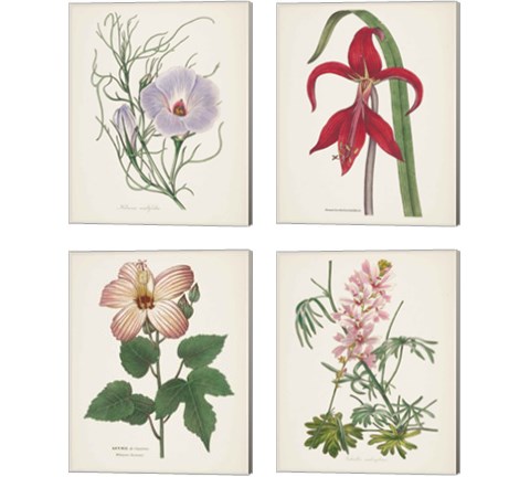 Antique BotanicalCream 4 Piece Canvas Print Set by Wild Apple Portfolio