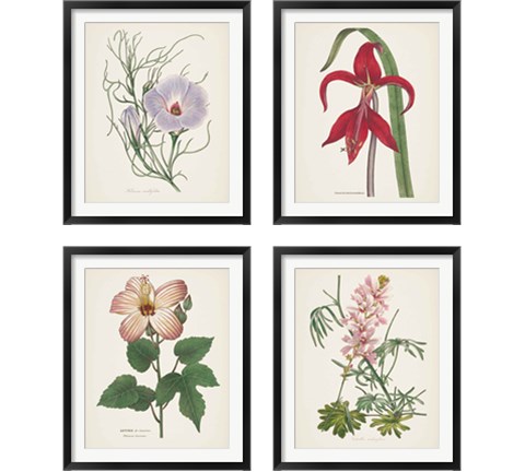 Antique BotanicalCream 4 Piece Framed Art Print Set by Wild Apple Portfolio