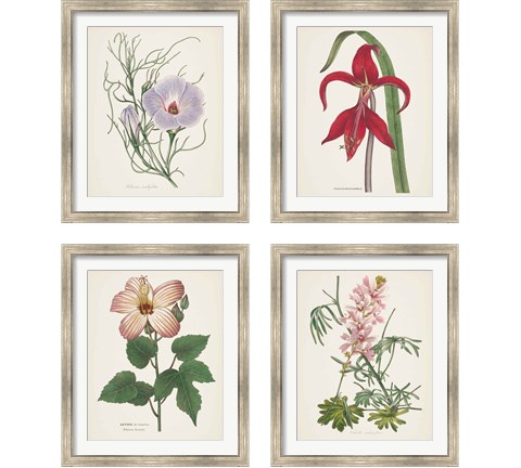 Antique BotanicalCream 4 Piece Framed Art Print Set by Wild Apple Portfolio