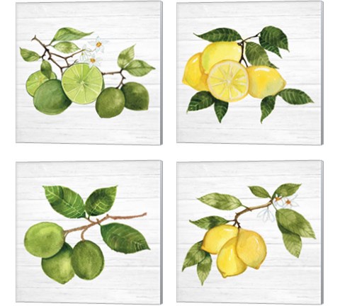 Citrus Garden Shiplap 4 Piece Canvas Print Set by Kathleen Parr McKenna