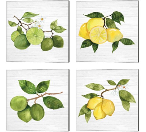 Citrus Garden Shiplap 4 Piece Canvas Print Set by Kathleen Parr McKenna