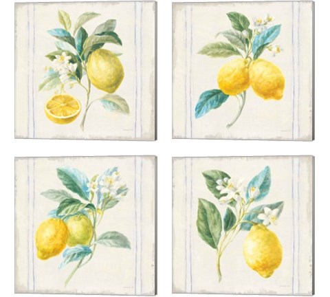 Floursack Lemons Sq Navy 4 Piece Canvas Print Set by Danhui Nai