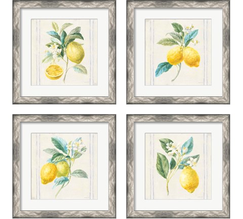 Floursack Lemons Sq Navy 4 Piece Framed Art Print Set by Danhui Nai