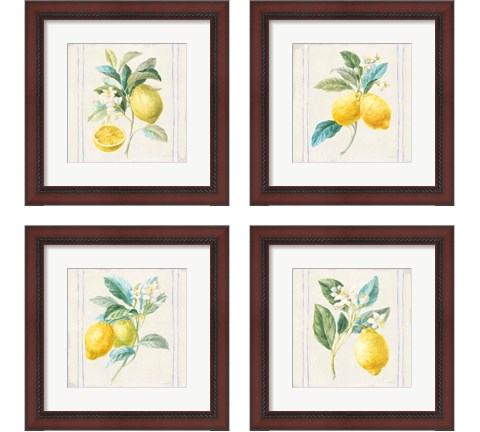 Floursack Lemons Sq Navy 4 Piece Framed Art Print Set by Danhui Nai