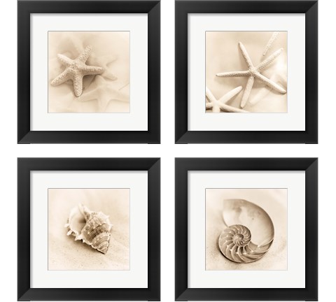 Il Oceano 4 Piece Framed Art Print Set by Alan Blaustein