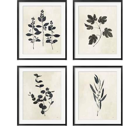Botanical Study 4 Piece Framed Art Print Set by Julia Purinton