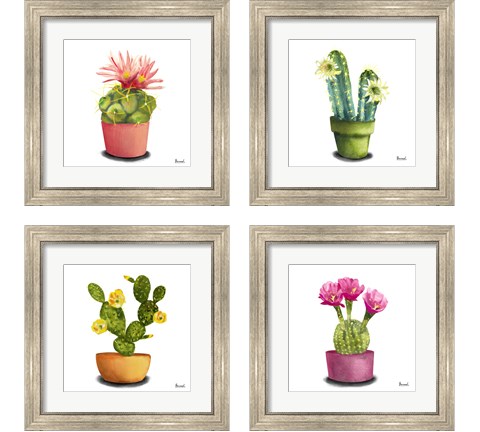 Cactus Flowers 4 Piece Framed Art Print Set by Bannarot