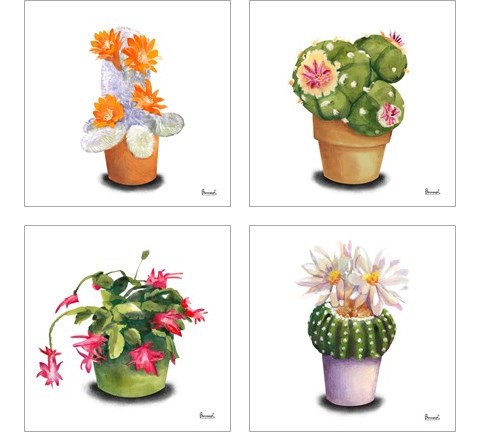 Cactus Flowers 4 Piece Art Print Set by Bannarot