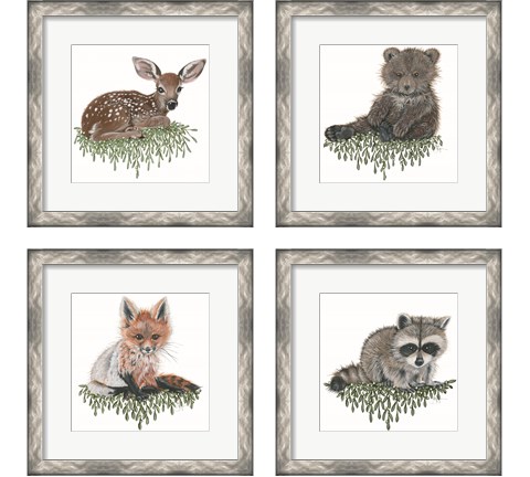 Baby Forest Animal 4 Piece Framed Art Print Set by Hollihocks Art