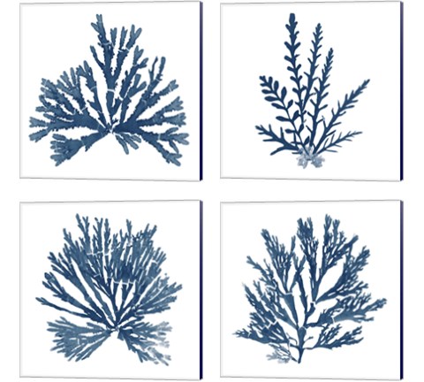 Pacific Sea Mosses Blue on White 4 Piece Canvas Print Set by Wild Apple Portfolio