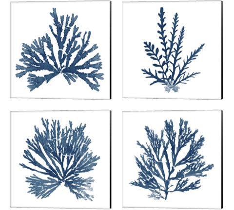 Pacific Sea Mosses Blue on White 4 Piece Canvas Print Set by Wild Apple Portfolio