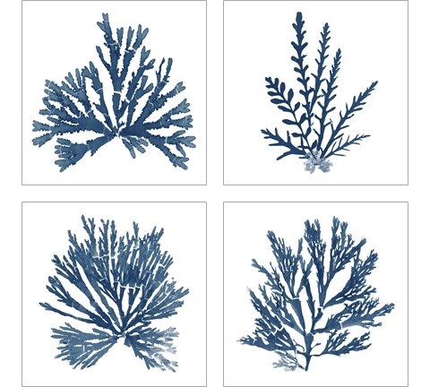 Pacific Sea Mosses Blue on White 4 Piece Art Print Set by Wild Apple Portfolio