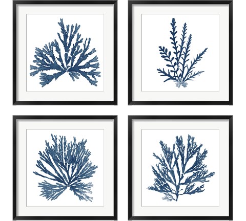Pacific Sea Mosses Blue on White 4 Piece Framed Art Print Set by Wild Apple Portfolio