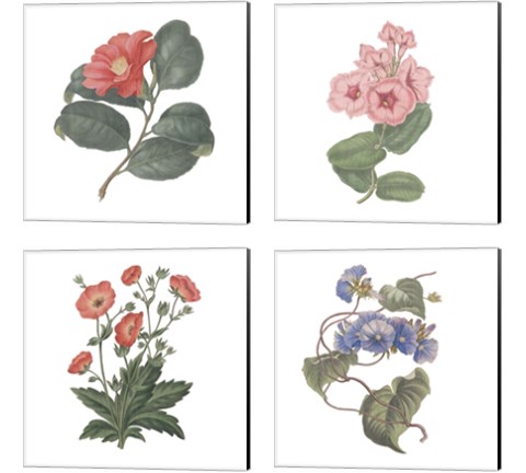 Monument Etching Tile Flowers 4 Piece Canvas Print Set by Wild Apple Portfolio