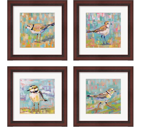 Coastal Plover 4 Piece Framed Art Print Set by Jeanette Vertentes