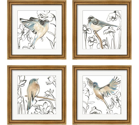 Songbird Meadow 4 Piece Framed Art Print Set by June Erica Vess