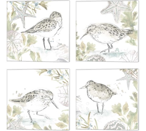 Seaside Sandpipers 4 Piece Canvas Print Set by June Erica Vess
