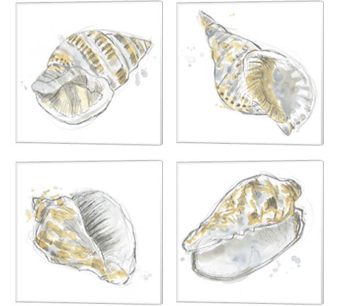 Citron Shell Sketch 4 Piece Canvas Print Set by June Erica Vess
