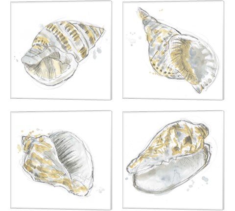 Citron Shell Sketch 4 Piece Canvas Print Set by June Erica Vess