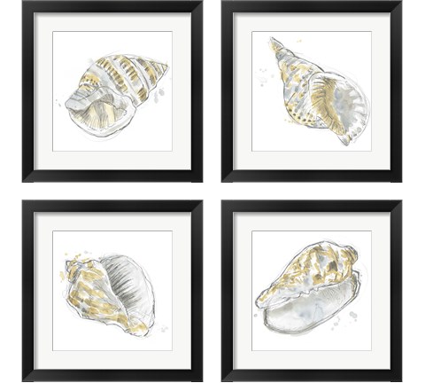 Citron Shell Sketch 4 Piece Framed Art Print Set by June Erica Vess