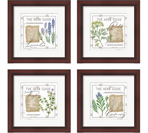 Herb Guide 4 Piece Framed Art Print Set by Jennifer Pugh
