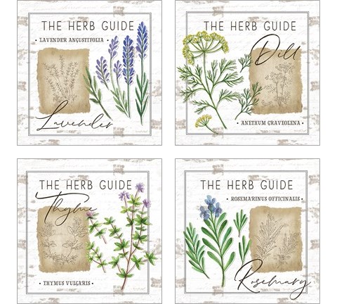Herb Guide 4 Piece Art Print Set by Jennifer Pugh