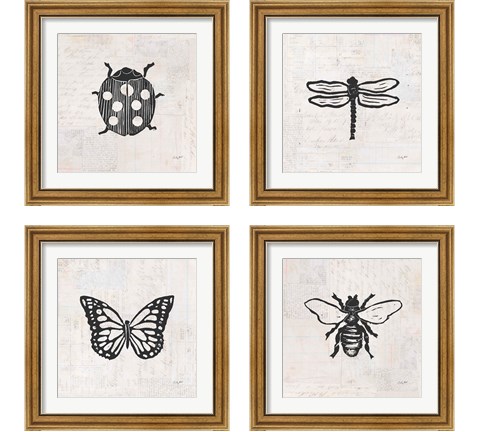 Insect Stamp BW 4 Piece Framed Art Print Set by Courtney Prahl