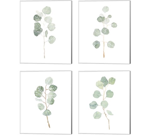 Soft Eucalyptus Branch 4 Piece Canvas Print Set by Emma Scarvey