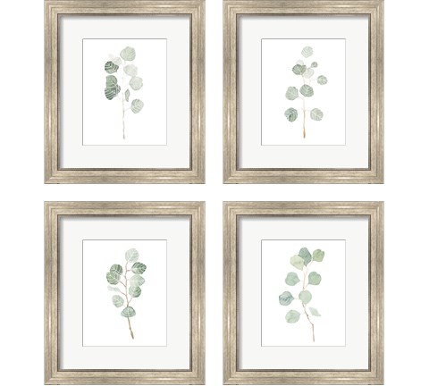 Soft Eucalyptus Branch 4 Piece Framed Art Print Set by Emma Scarvey
