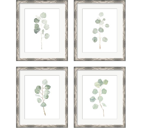 Soft Eucalyptus Branch 4 Piece Framed Art Print Set by Emma Scarvey