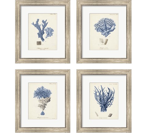 Antique Coral in Navy 4 Piece Framed Art Print Set by Johann Esper