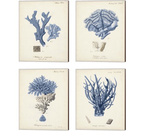 Antique Coral in Navy 4 Piece Canvas Print Set by Johann Esper