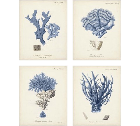 Antique Coral in Navy 4 Piece Art Print Set by Johann Esper