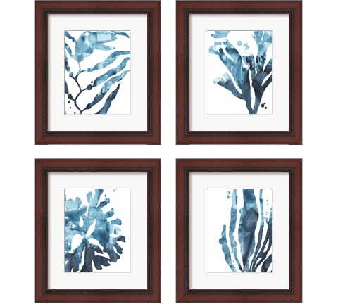 Inkwash Kelp 4 Piece Framed Art Print Set by June Erica Vess