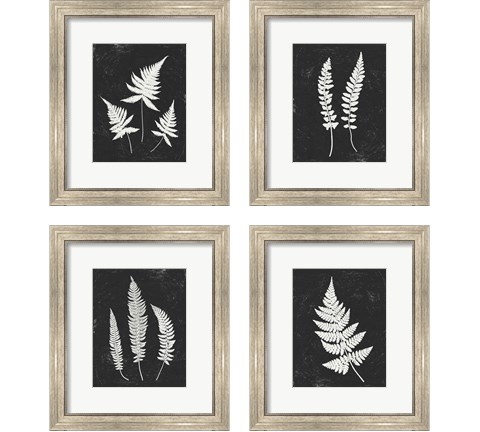 Forest Shadows Black 4 Piece Framed Art Print Set by Moira Hershey