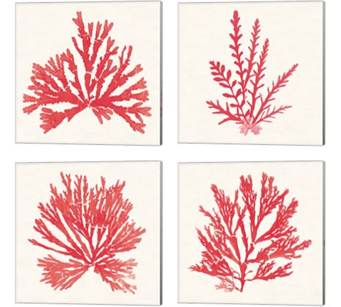 Pacific Sea Mosses Red 4 Piece Canvas Print Set by Wild Apple Portfolio