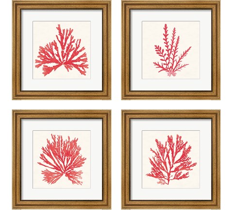 Pacific Sea Mosses Red 4 Piece Framed Art Print Set by Wild Apple Portfolio