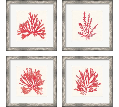 Pacific Sea Mosses Red 4 Piece Framed Art Print Set by Wild Apple Portfolio