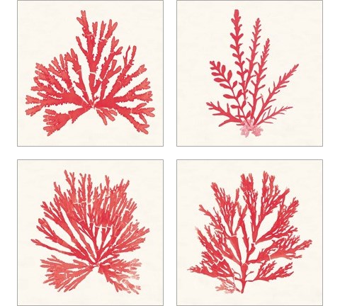 Pacific Sea Mosses Red 4 Piece Art Print Set by Wild Apple Portfolio
