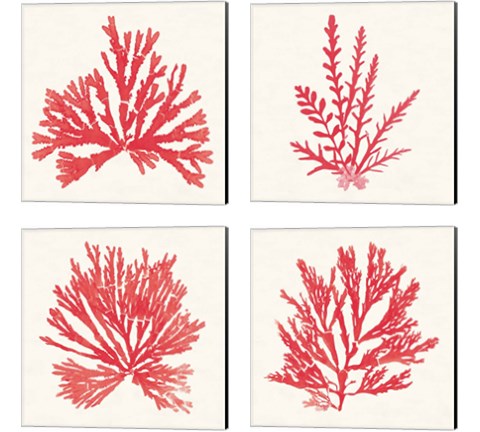 Pacific Sea Mosses Red 4 Piece Canvas Print Set by Wild Apple Portfolio