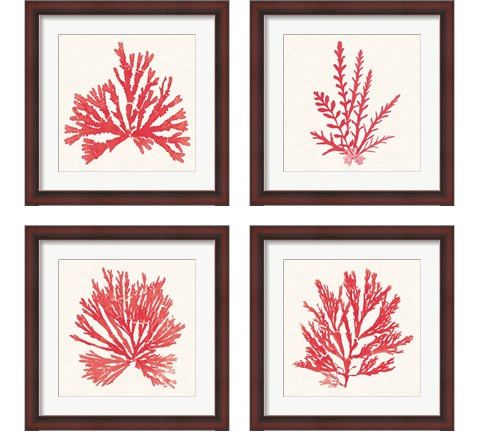 Pacific Sea Mosses Red 4 Piece Framed Art Print Set by Wild Apple Portfolio