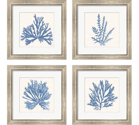 Pacific Sea Mosses Light Blue 4 Piece Framed Art Print Set by Wild Apple Portfolio